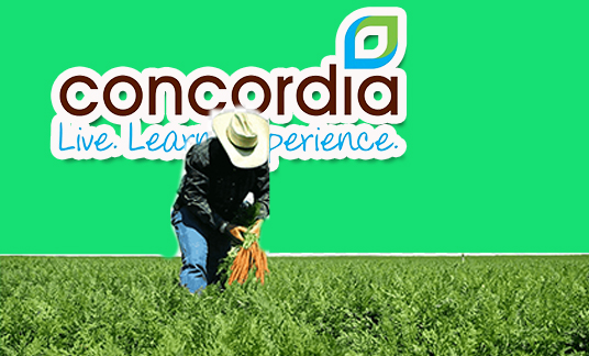Concordia UK Farm Jobs - Apply Online