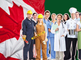 Free Visa Jobs in Canada