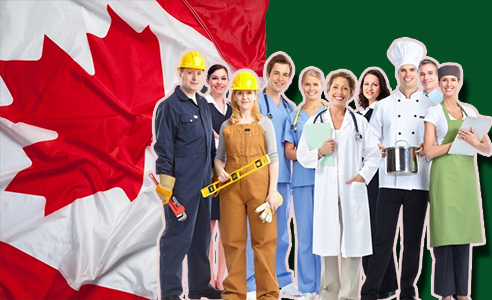 Free Visa Jobs in Canada