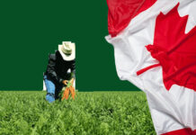 Farm Jobs in Canada With Visa Sponsorship Farm Jobs in Canada With Visa Sponsorship