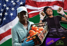 Fruit Picking Jobs in USA with Visa Sponsorship Fruit Picking Jobs in USA with Visa Sponsorship