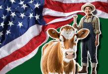 Beef Cattle Herdsman Jobs In USA with Visa Sponsorship Beef Cattle Herdsman Jobs In USA with Visa Sponsorship