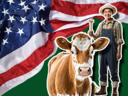 Beef Cattle Herdsman Jobs In USA with Visa Sponsorship