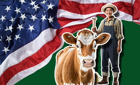 Beef Cattle Herdsman Jobs In USA with Visa Sponsorship