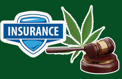 Life Insurance for Marijuana Users