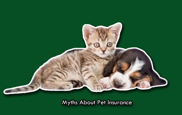 Myths About Pet Insurance Myths About Pet Insurance
