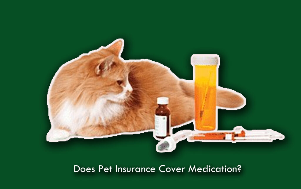 Does Pet Insurance Cover Medication?