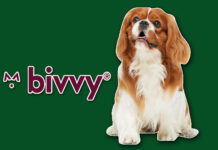 Bivvy Pet Insurance – What You Should Know Bivvy Pet Insurance - What You Should Know