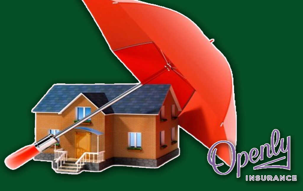 Openly Home Insurance - What You Should Know