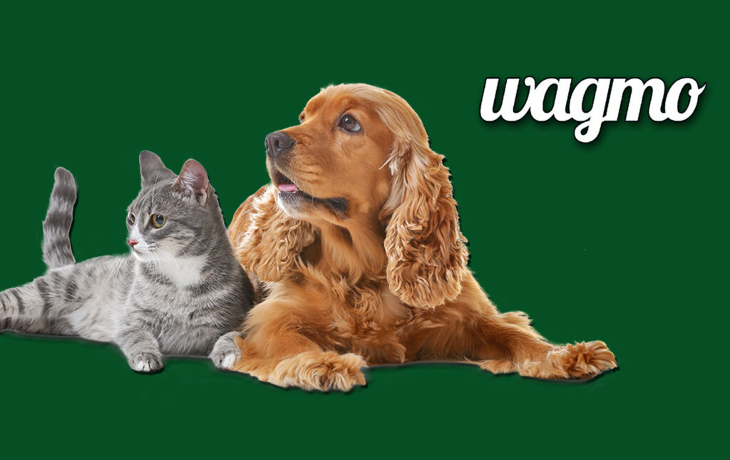 Wagmo Pet Insurance