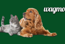 Wagmo Pet Insurance – What You Should Know Wagmo Pet Insurance