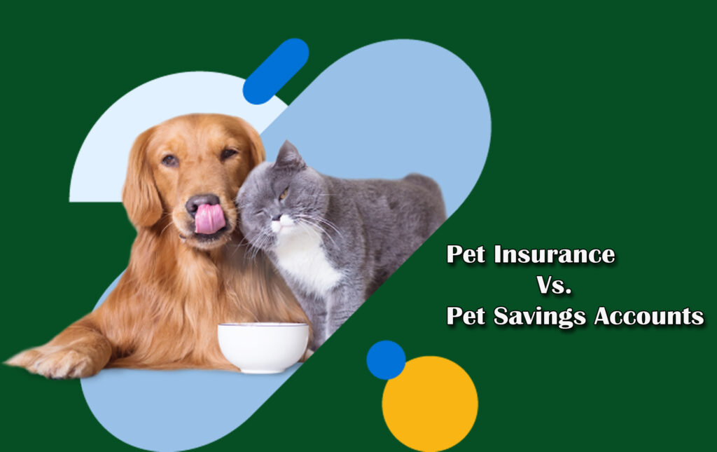 Pet Insurance Vs. Pet Savings Accounts