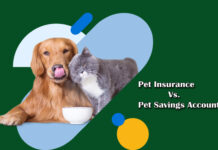 Pet Insurance Vs. Pet Savings Accounts Pet Insurance Vs. Pet Savings Accounts