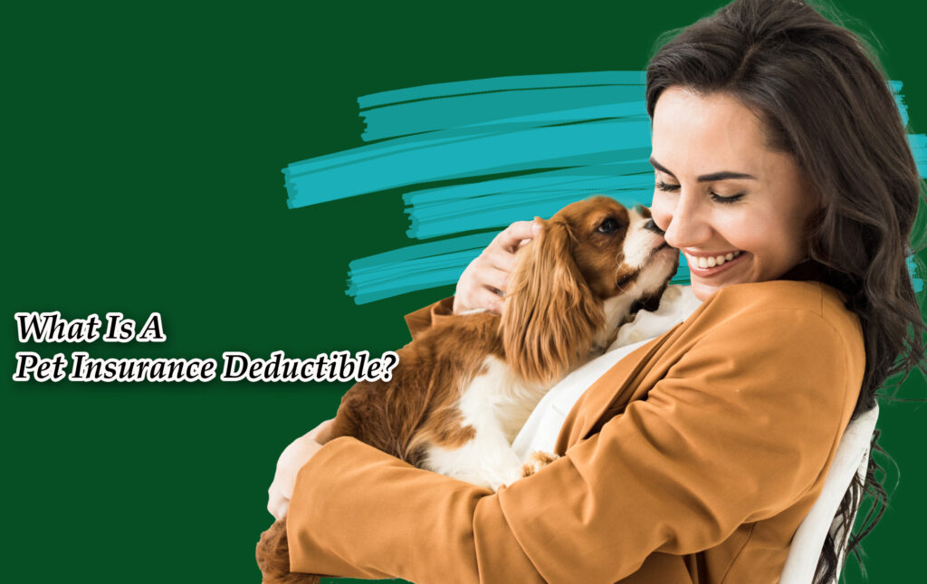 What Is A Pet Insurance Deductible?