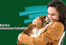 What Is A Pet Insurance Deductible? What Is A Pet Insurance Deductible?
