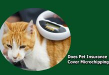Does Pet Insurance Cover Microchipping? Does Pet Insurance Cover Microchipping?