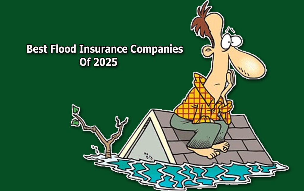 Best Flood Insurance Companies Of 2025