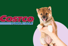 Costco Pet Insurance – What It Covers & Costs Costco Pet Insurance - What It Covers & Costs
