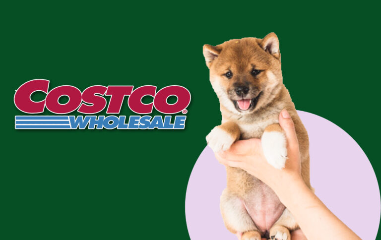 Costco Pet Insurance – What It Covers & Costs