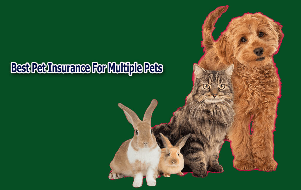 Best Pet Insurance For Multiple Pets