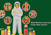 Does Renters Insurance Cover Pest Control? Does Renters Insurance Cover Pest Control?