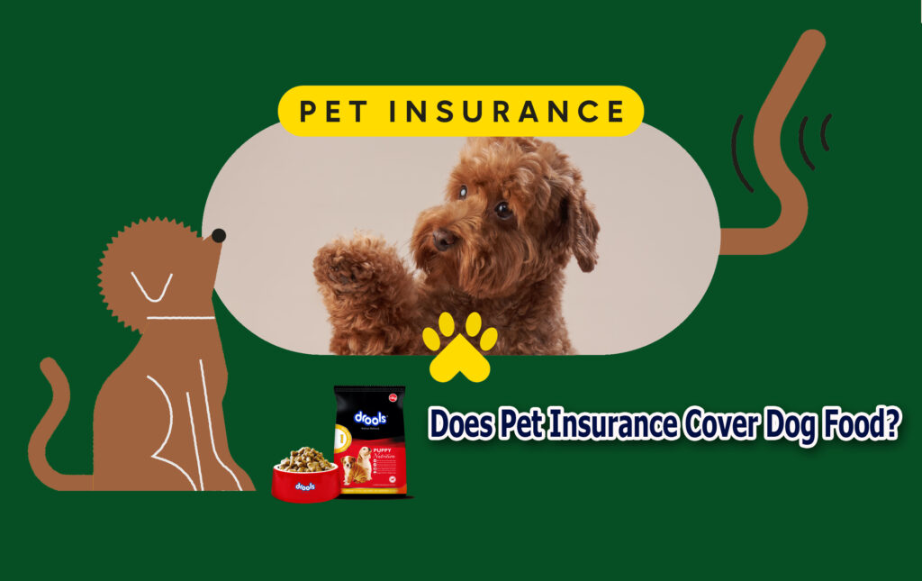 Does Pet Insurance Cover Dog Food?