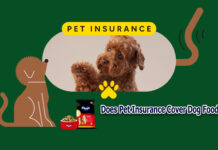 Does Pet Insurance Cover Dog Food? Does Pet Insurance Cover Dog Food?