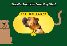 Does Pet Insurance Cover Dog Bites? Does Pet Insurance Cover Dog Bites?