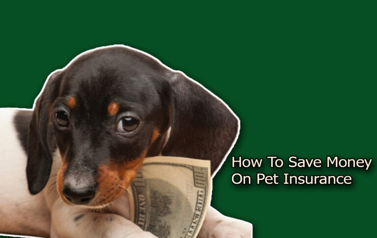 How To Save Money On Pet Insurance