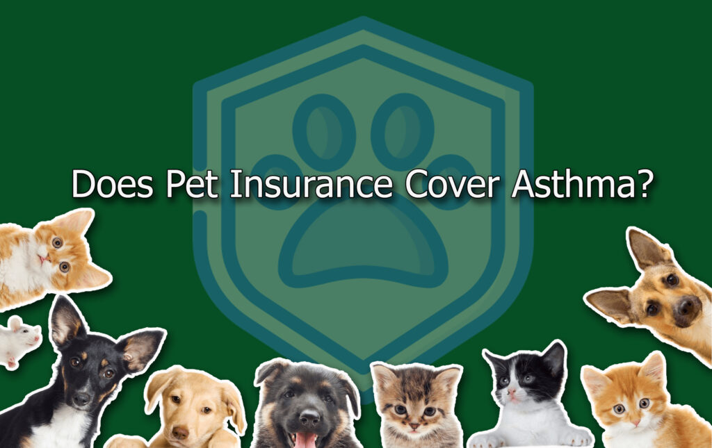Does Pet Insurance Cover Asthma?