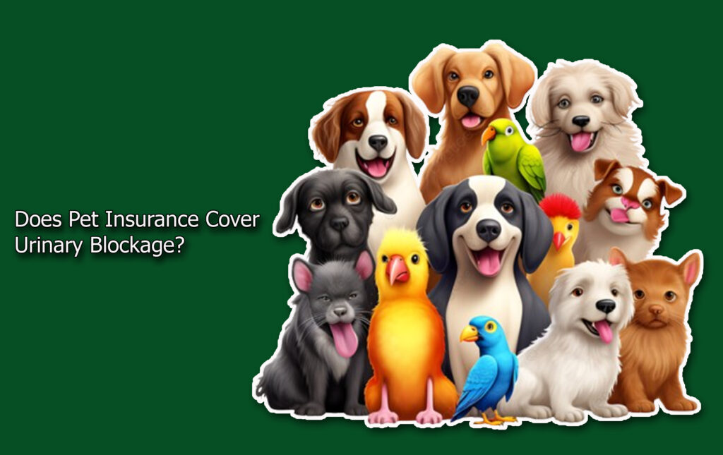 Does Pet Insurance Cover Urinary Blockage?