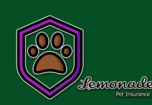 Lemonade Pet Insurance Lemonade Pet Insurance
