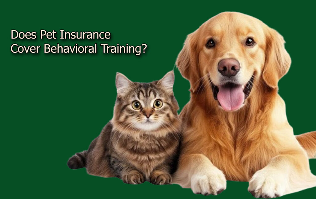 Does Pet Insurance Cover Behavioral Training?